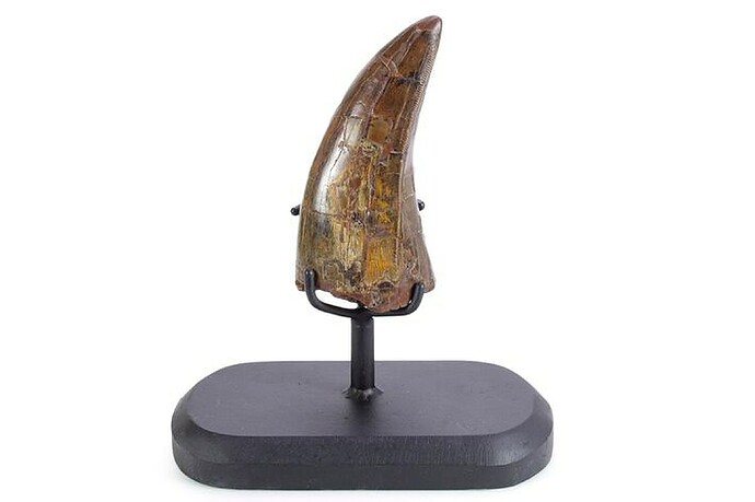 Featured source product photo